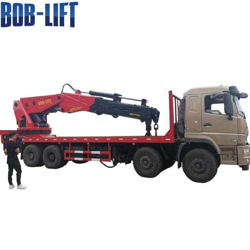 The Difference Between Truck Crane And Truck Mounted Crane